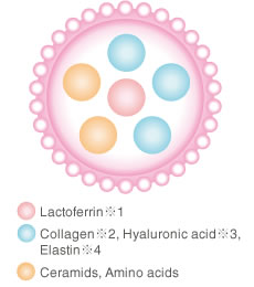 Lactoferrin Lab. incorporates a 100% natural 