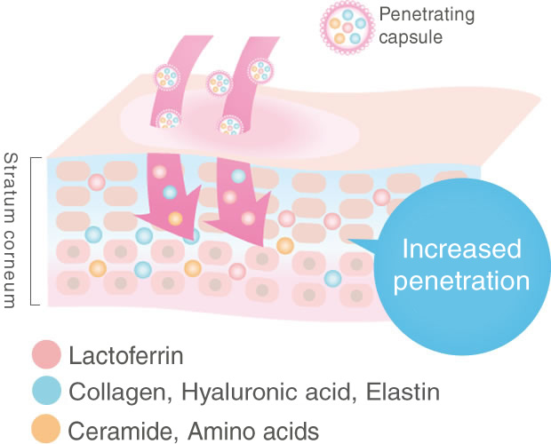 What is Lactoferrin Lab.?