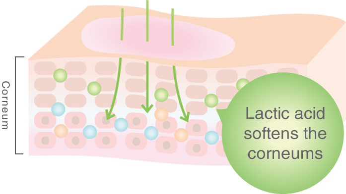 乳酸が角質をやわらかくほぐします